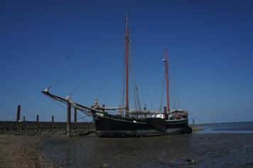 DSC06617